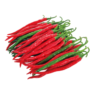 Janhavi Hot Pepper From Known You Seed (India) (1)-KYI